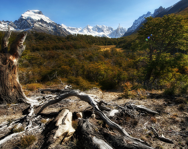 L’Europa boccia l’Italia sulla tutela della biodiversità