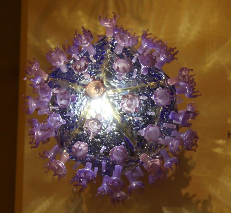 Come muta forma il virus dell’Hiv