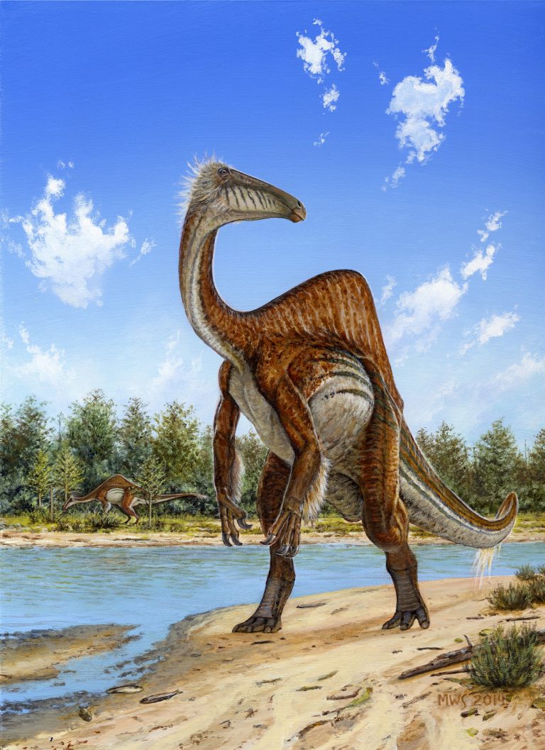 Il dinosauro con la gobba