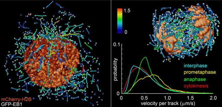 Il super-microscopio da Nobel
