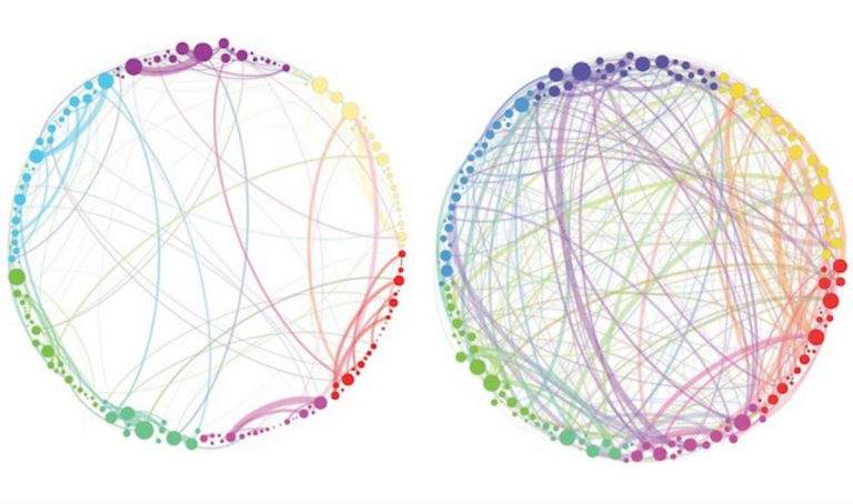 L’attività del cervello sotto funghi allucinogeni