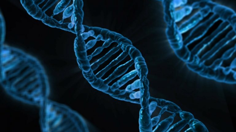 Scoperta l’origine del “Dna Frankenstein” dei tumori