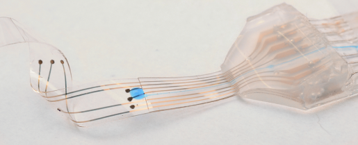 La protesi che aiuta i ratti paralizzati a camminare