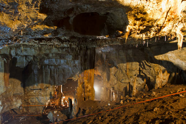 L’uomo che (forse) si incrociò con i Neanderthal