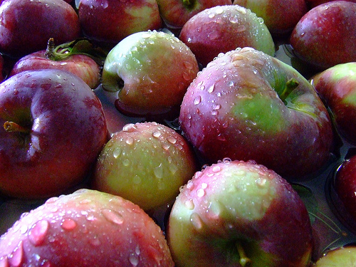 Dieta e digiuno abbassano l’infiammazione