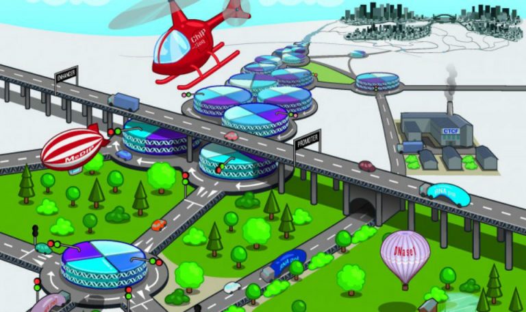 Epigenomica, mappare l’orchestra dei geni