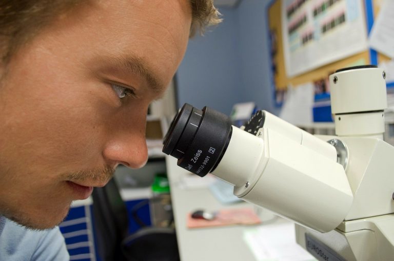 Testare il rischio dermatite senza animali