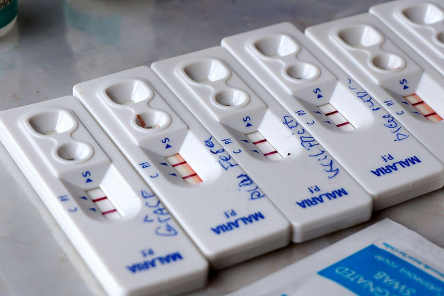 World Malaria Day, continua la lotta alla malattia