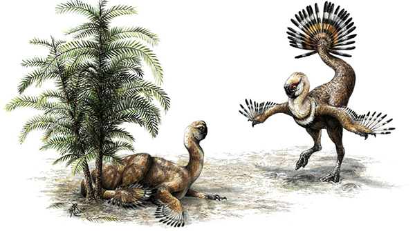 Come determinare il sesso dei dinosauri