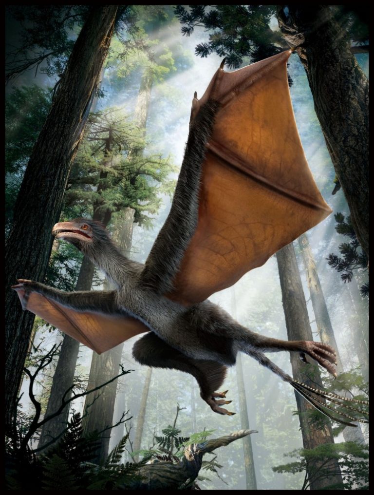 Il dinosauro con le ali da pipistrello