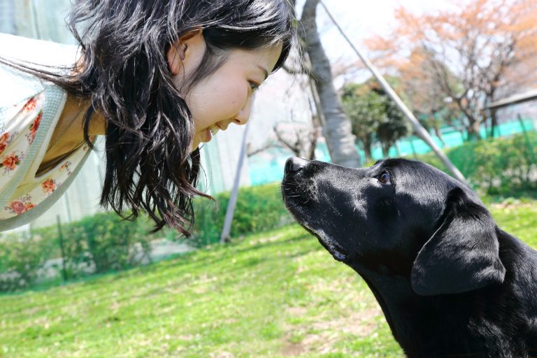 Perché siamo così amici dei cani