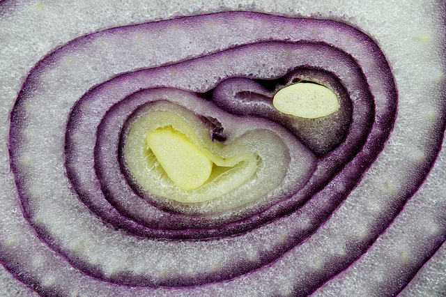 Muscoli dalle cipolle