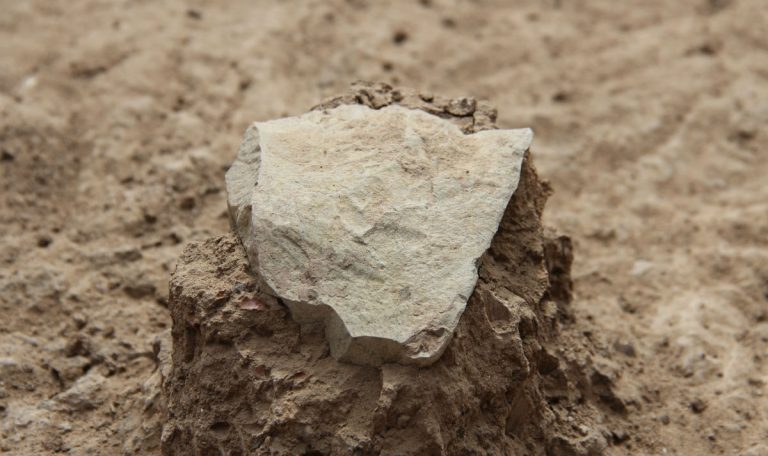 Gli utensili sono nati prima del genere Homo