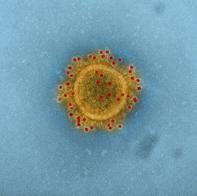 Mers in Corea del Sud: riaprono le scuole