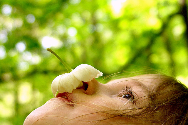 Autismo, perché servirebbe un test dell’olfatto?