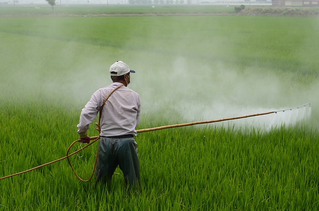 Ddt e lindano probabili sostanze cancerogene