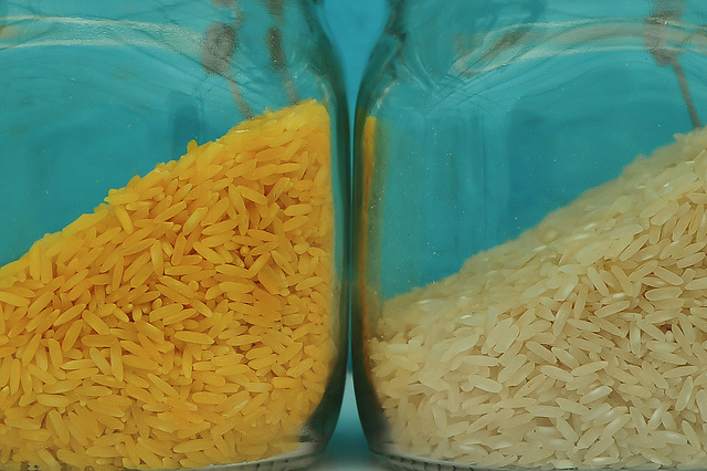 Golden Rice e il caso del paper ritirato: perché?