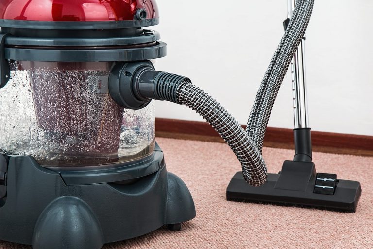Un microcosmo di batteri nella polvere di casa