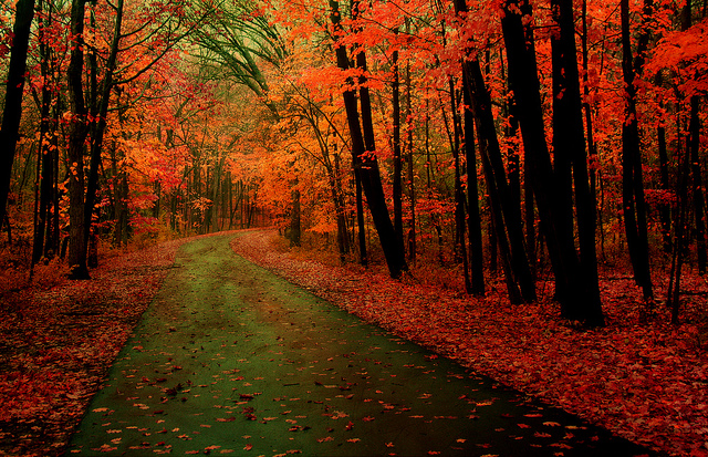 No, oggi non è il primo giorno d’autunno