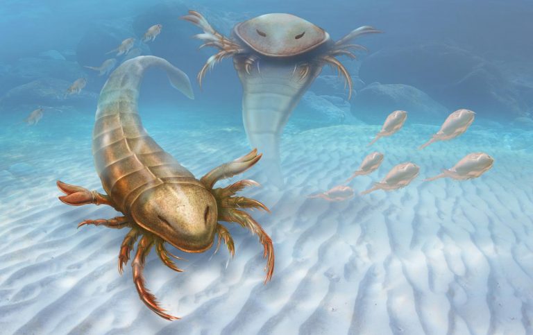 Lo scorpione gigante che anticipò i dinosauri