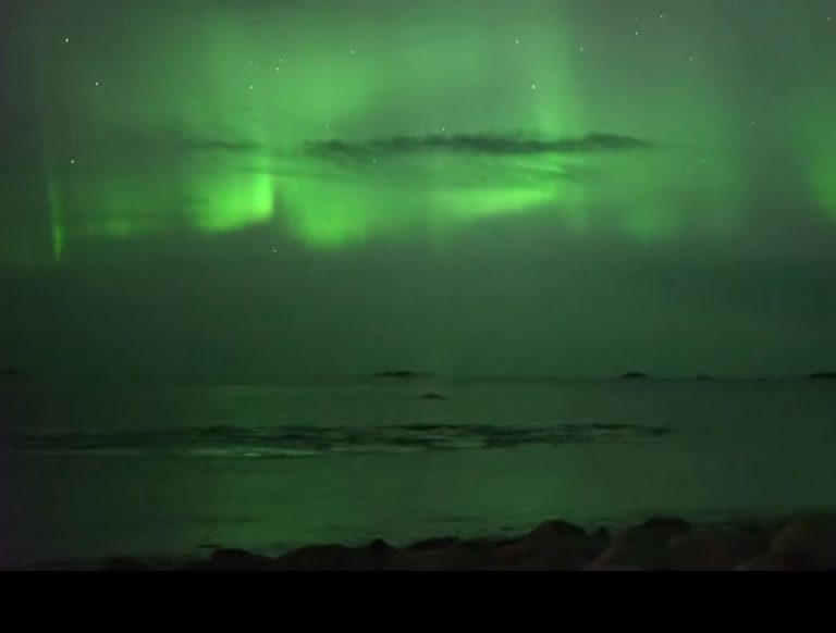 Le balene danzano sotto le luci dell’aurora