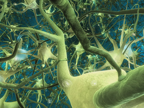 Parkinson, è meglio muoversi
