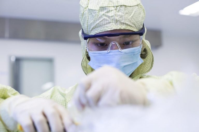 Influenza: l’importanza dei virus minori