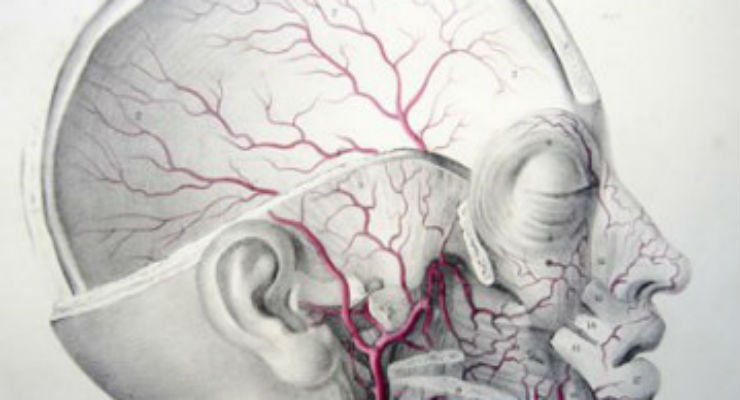 Nessun collegamento tra mercurio e Alzheimer