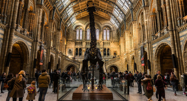 Il pianeta X ha fatto scomparire i dinosauri?