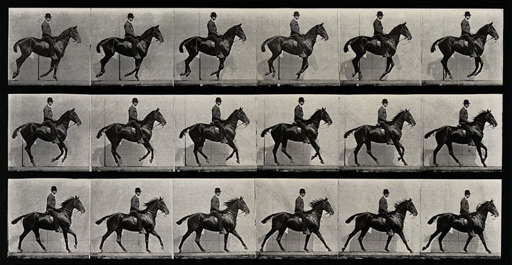 L’uomo che fotografava i cavalli