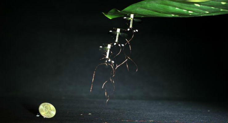 (Credits: Harvard Microrobotics Lab/Harvard University)