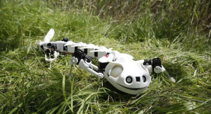 Pleurobot, la salamandra robot
