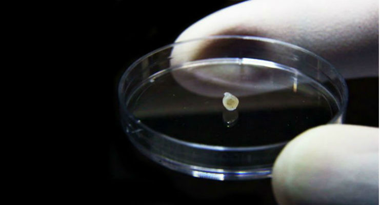 Credits: The Agency for Science, Technology and Research (A*STAR)