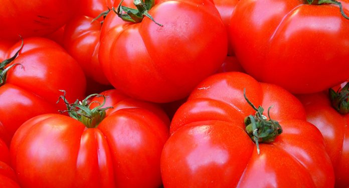 Alimentazione vegana