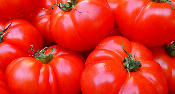 Alimentazione vegana