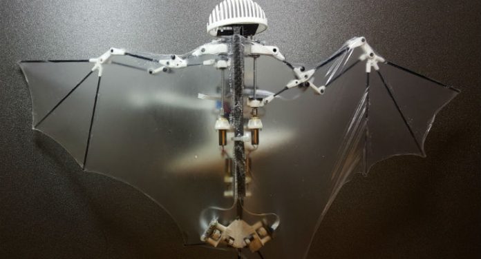 robot