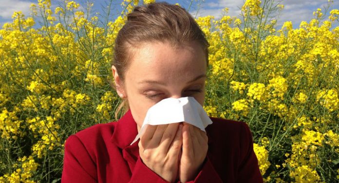 allergie