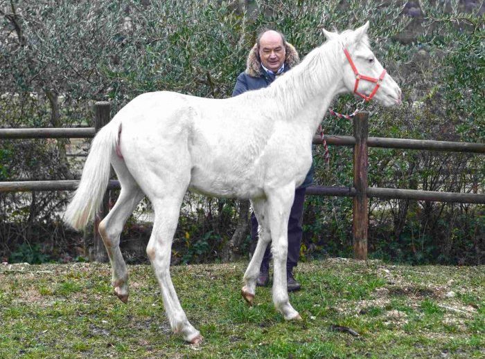 Le rivelazioni di Via Lattea