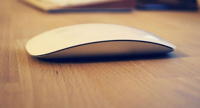 mouse