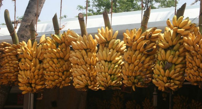 banana