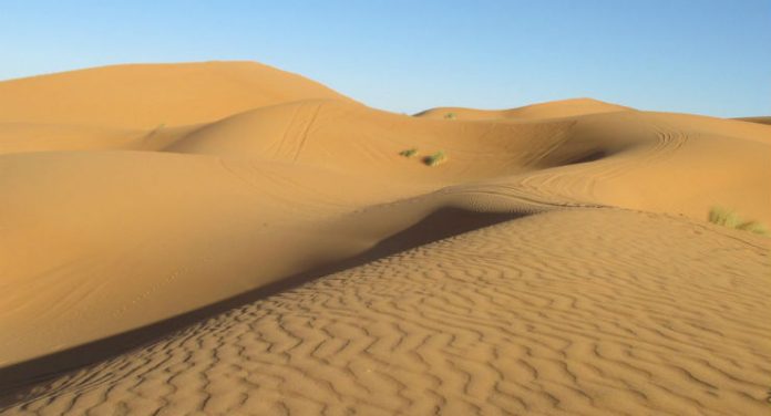 sahara