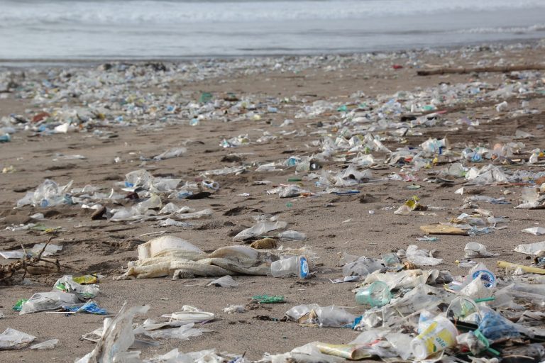 Quali vie segue la plastica nel mare?