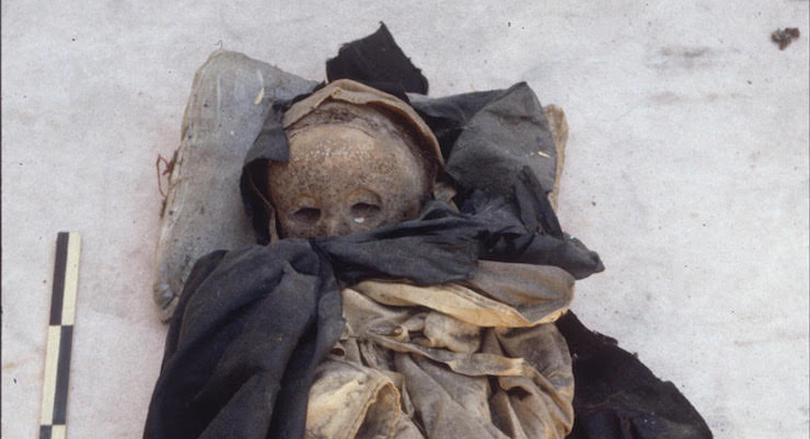 Il virus dell’epatite B in una mummia di 450 anni fa