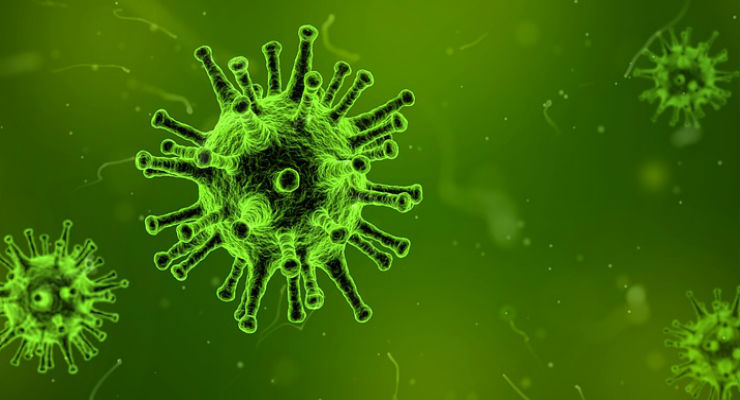 virus (Foto via Pixabay)