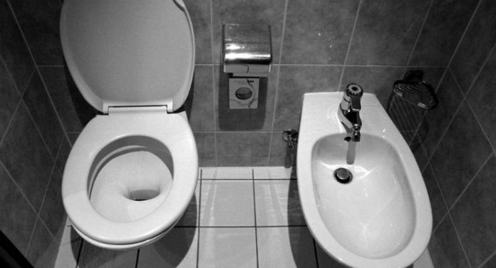 bidet