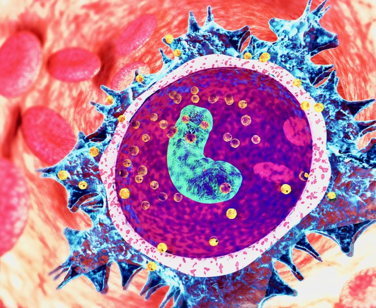 citochine sistema immunitario covid coronavirus