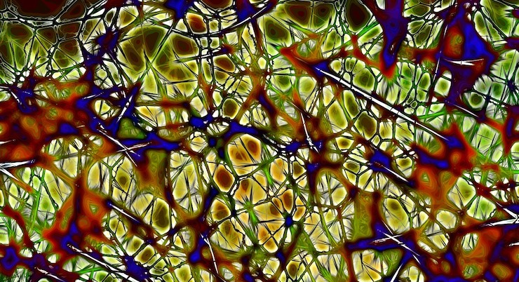 Una molecola sperimentale contro la malattia di Huntington