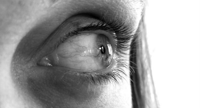cornea