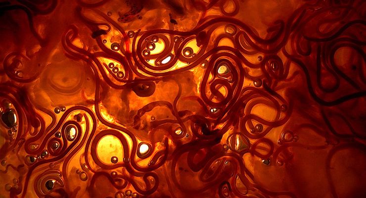 42mila anni e non sentirli. I nematodi estratti dal permafrost tornano in vita