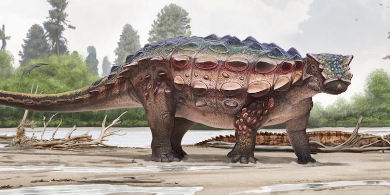 Dallo Utah un nuovo dinosauro con la corazza